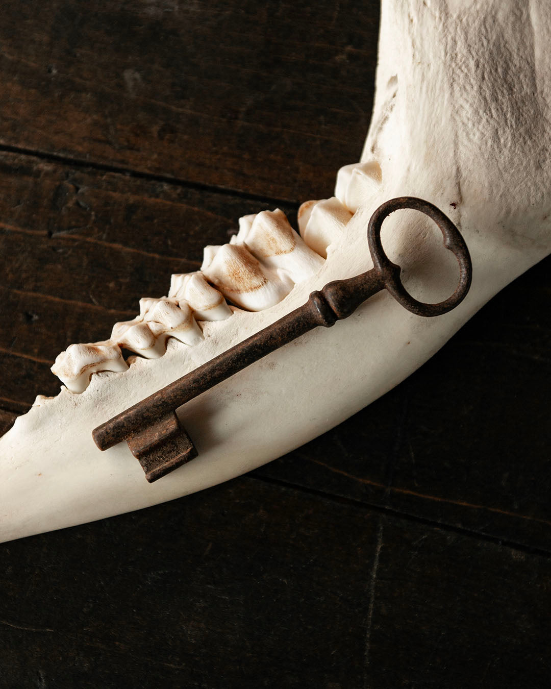 Antique Skeleton Key