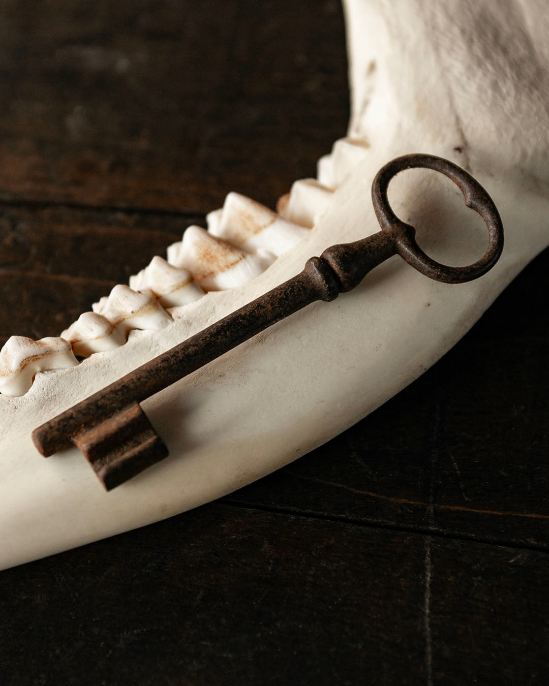 Antique Skeleton Key