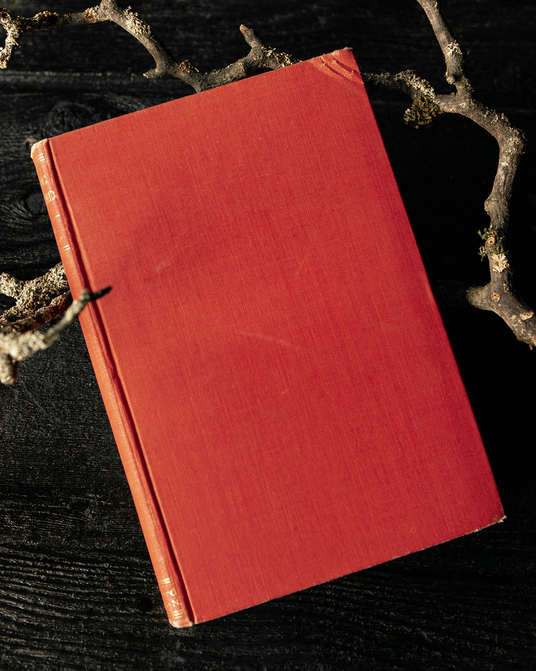 Vintage Gothic England Book