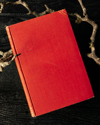 Vintage Gothic England Book