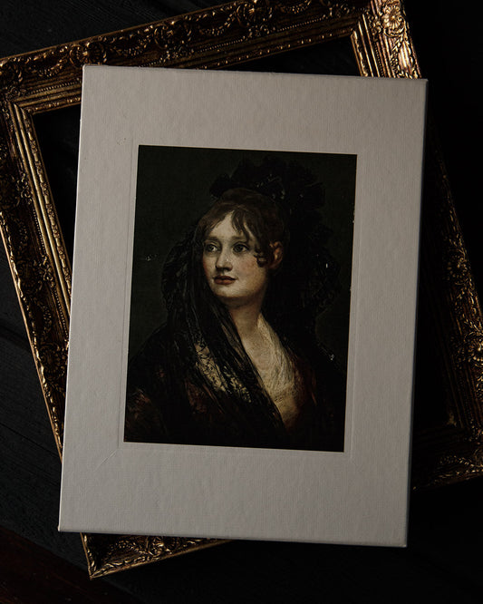 The World of Goya Book