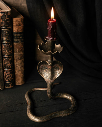 Large Snake Candle Holder