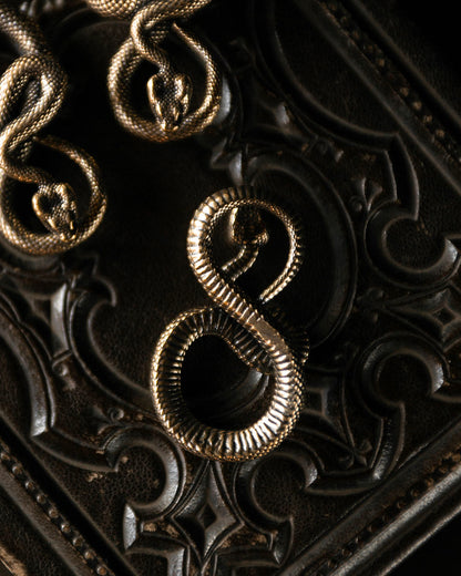 Brass Snake Talisman