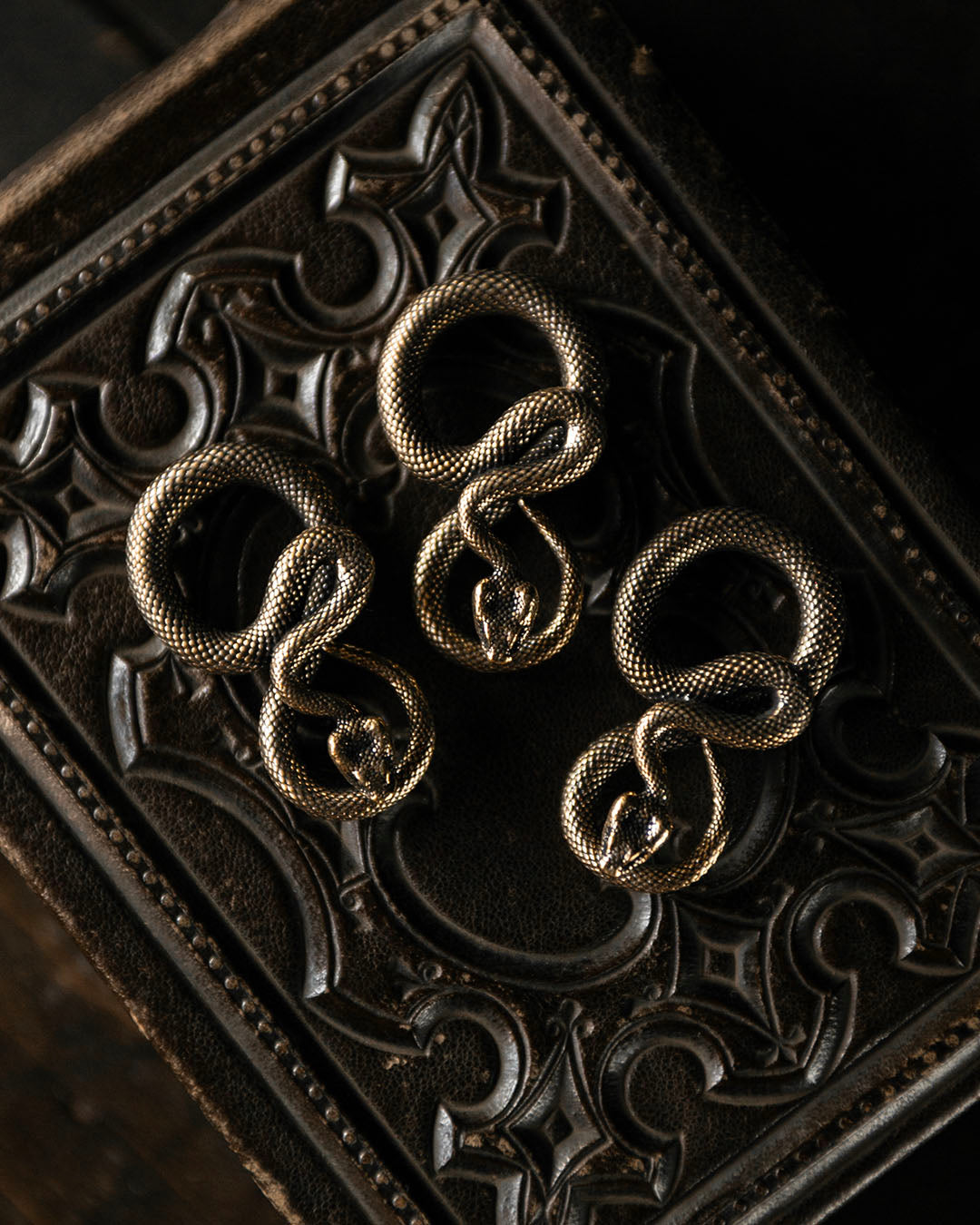 Brass Snake Talisman