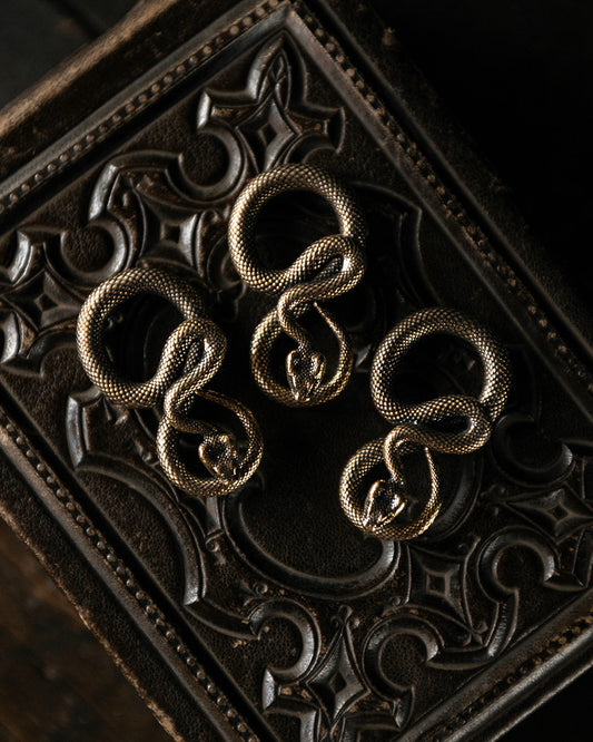 Brass Snake Talisman