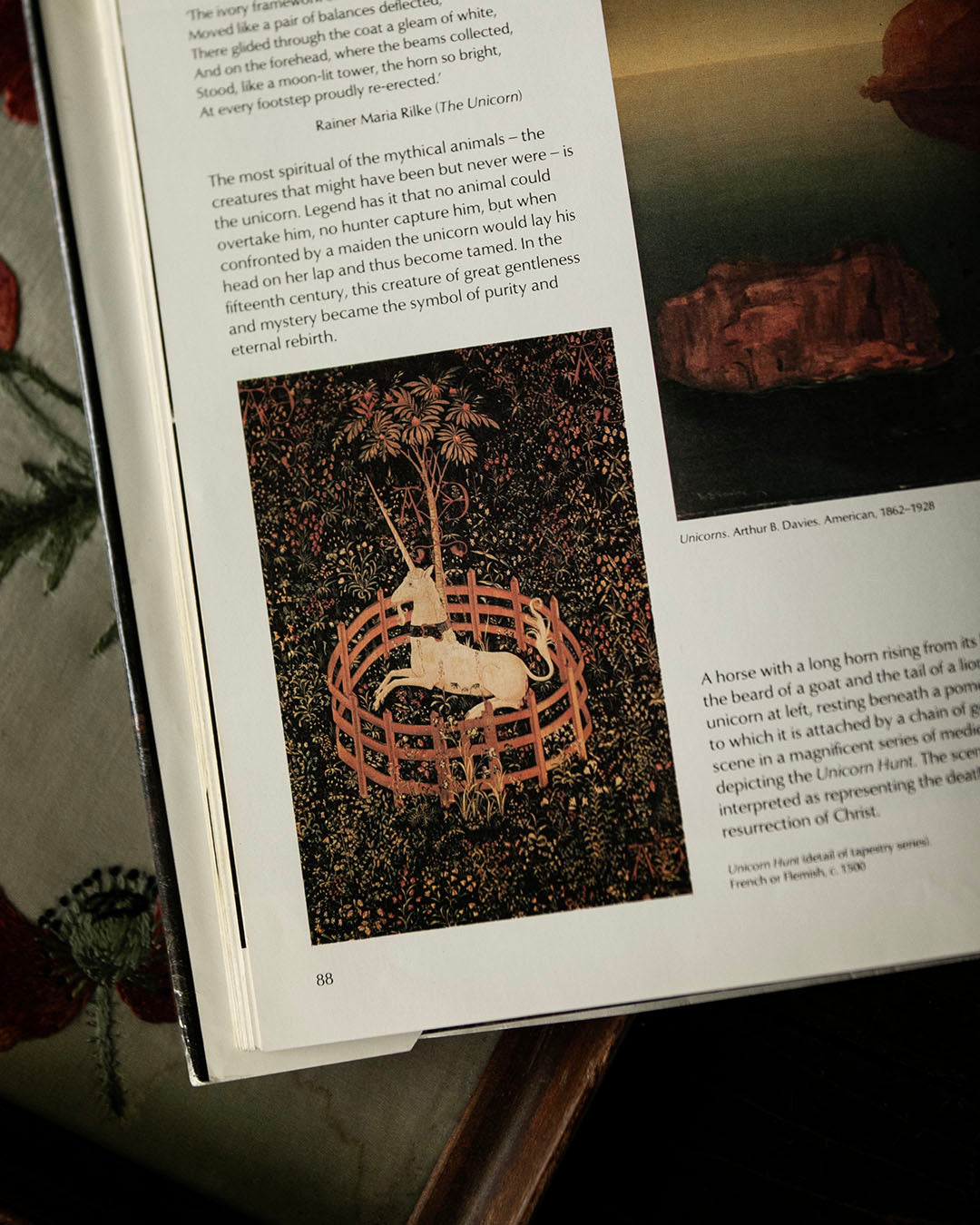 Creatures of Paradise Book