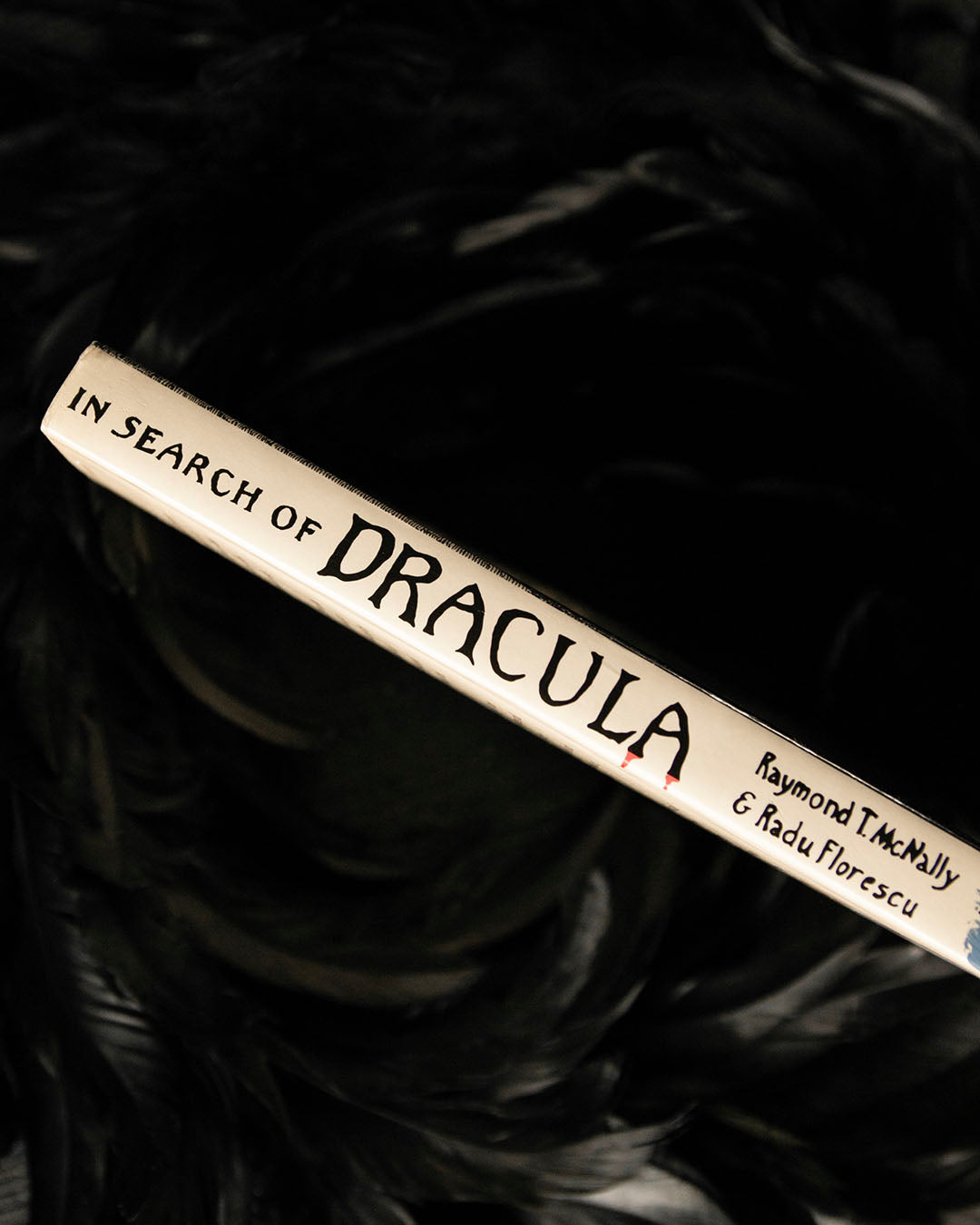 In Search of Dracula Book