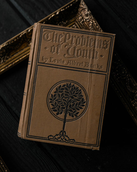 The Problems of Youth Antique Book
