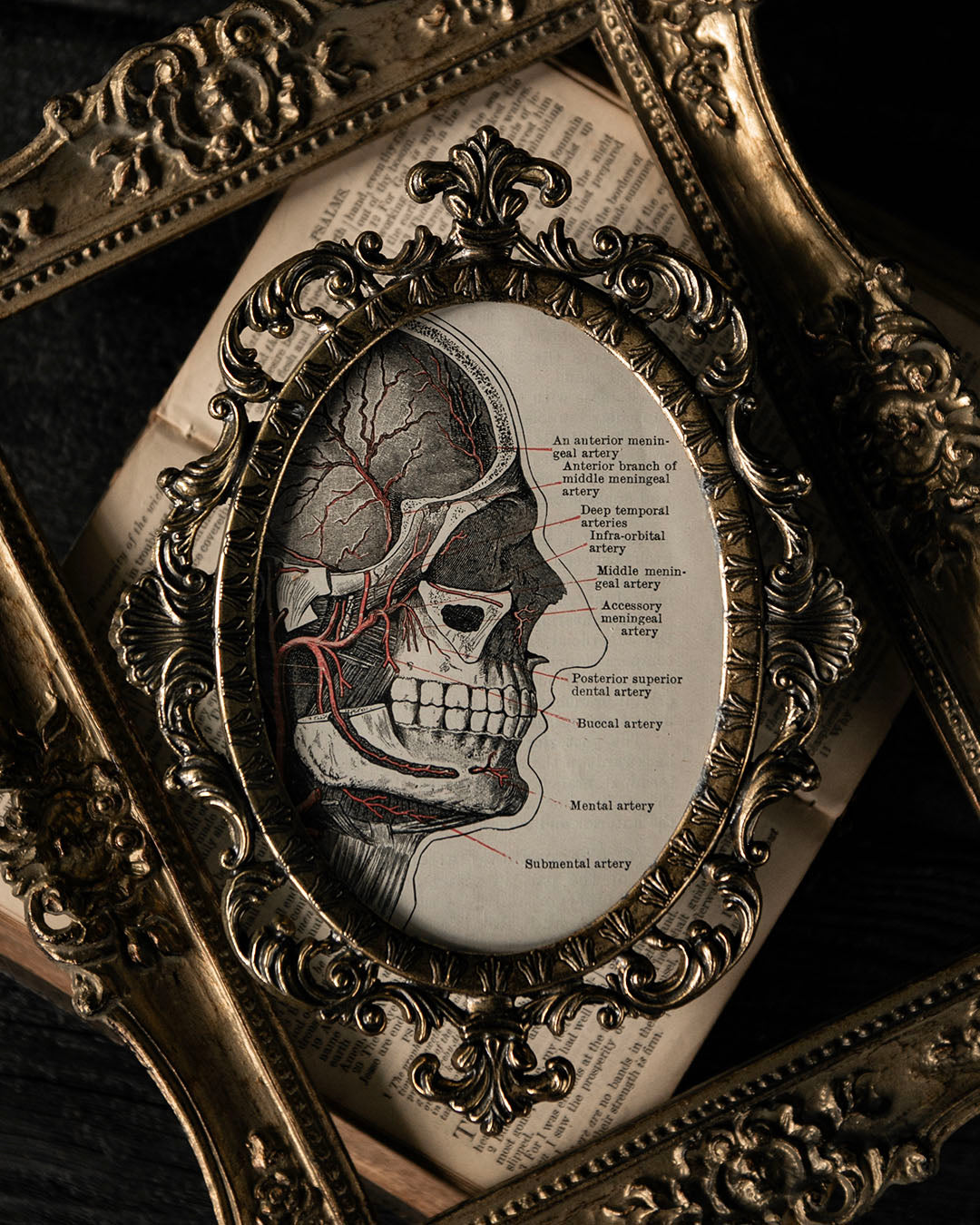 Vintage Frame