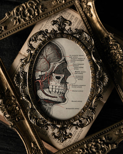 Vintage Frame