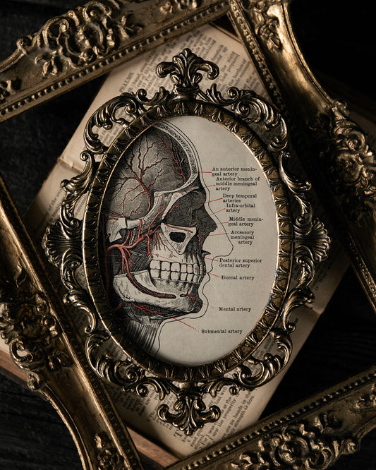 Vintage Frame