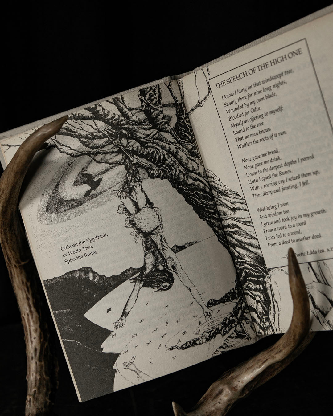 The Book of Runes
