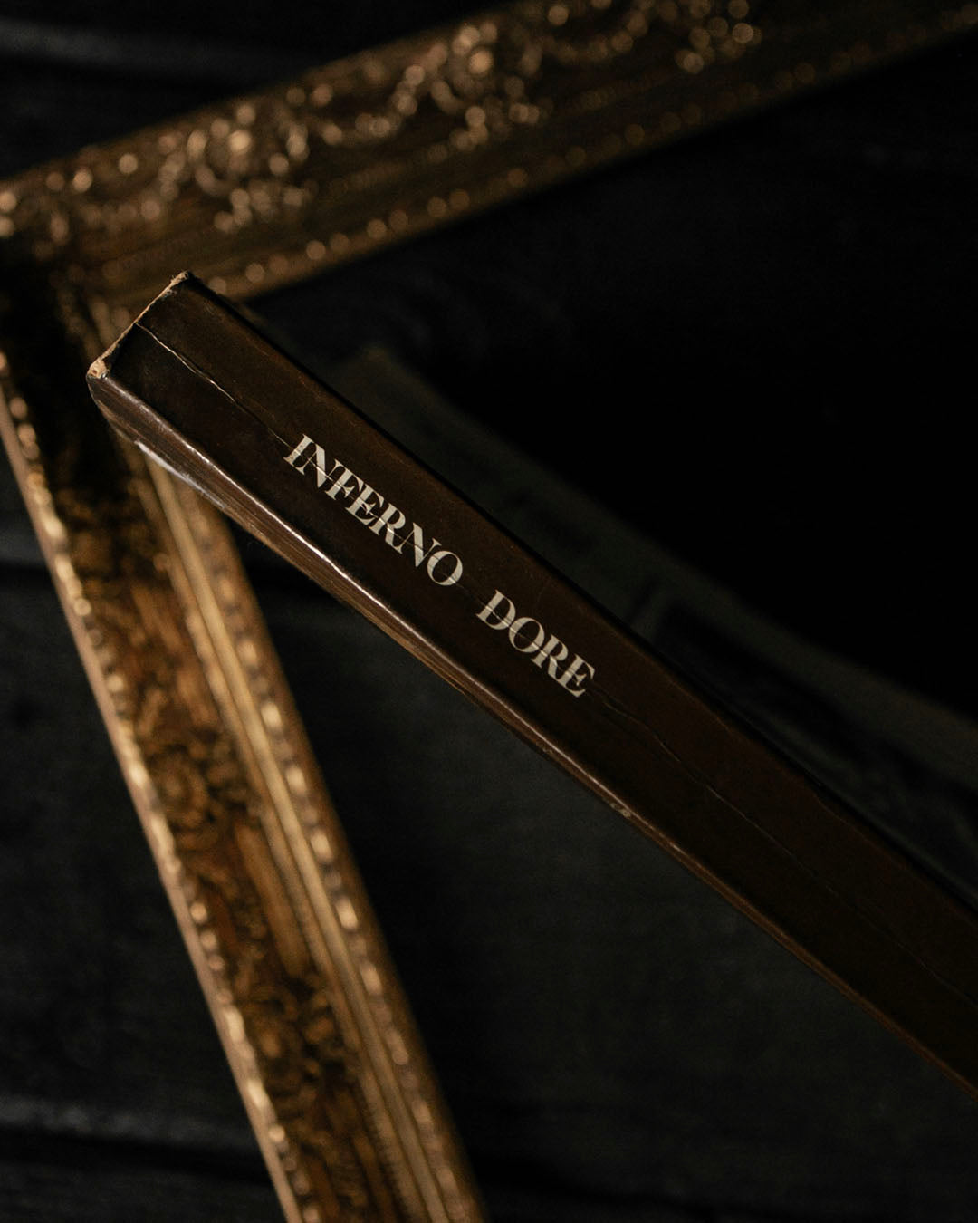 Illustrated Inferno Book