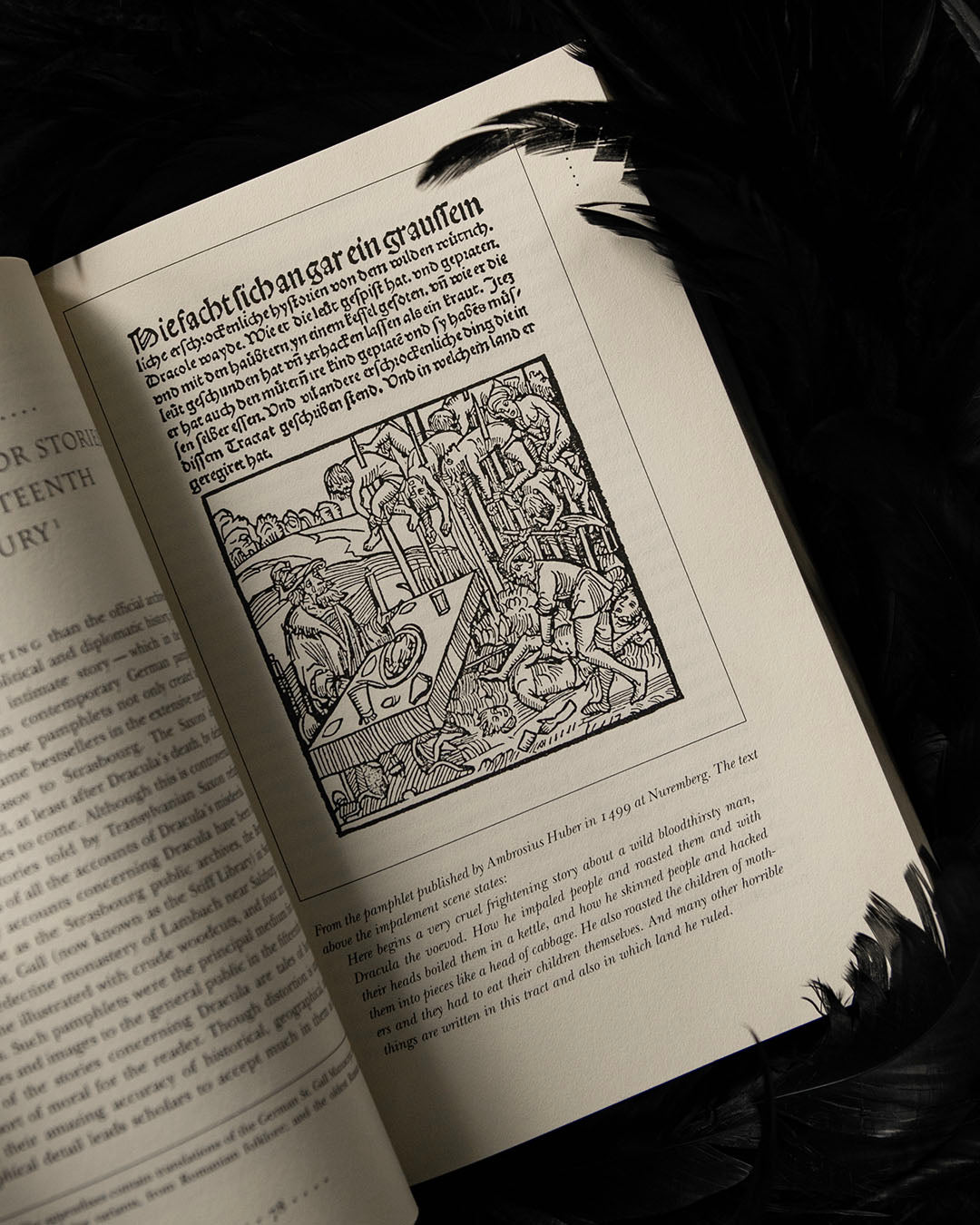 In Search of Dracula Book