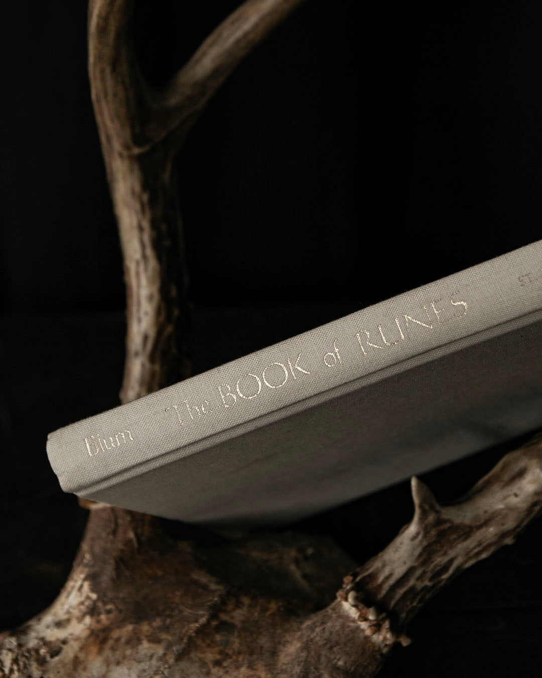 The Book of Runes
