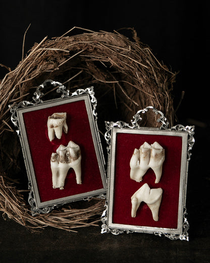 Framed Teeth