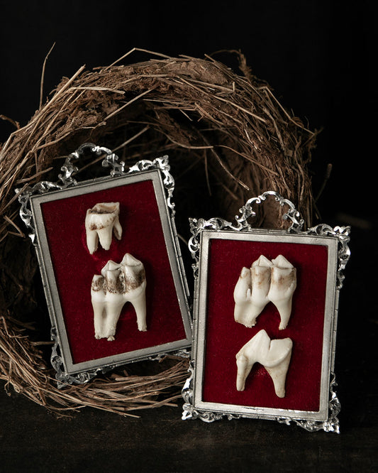 Framed Teeth