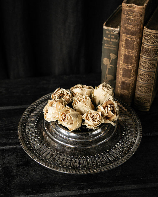 Silver Dish