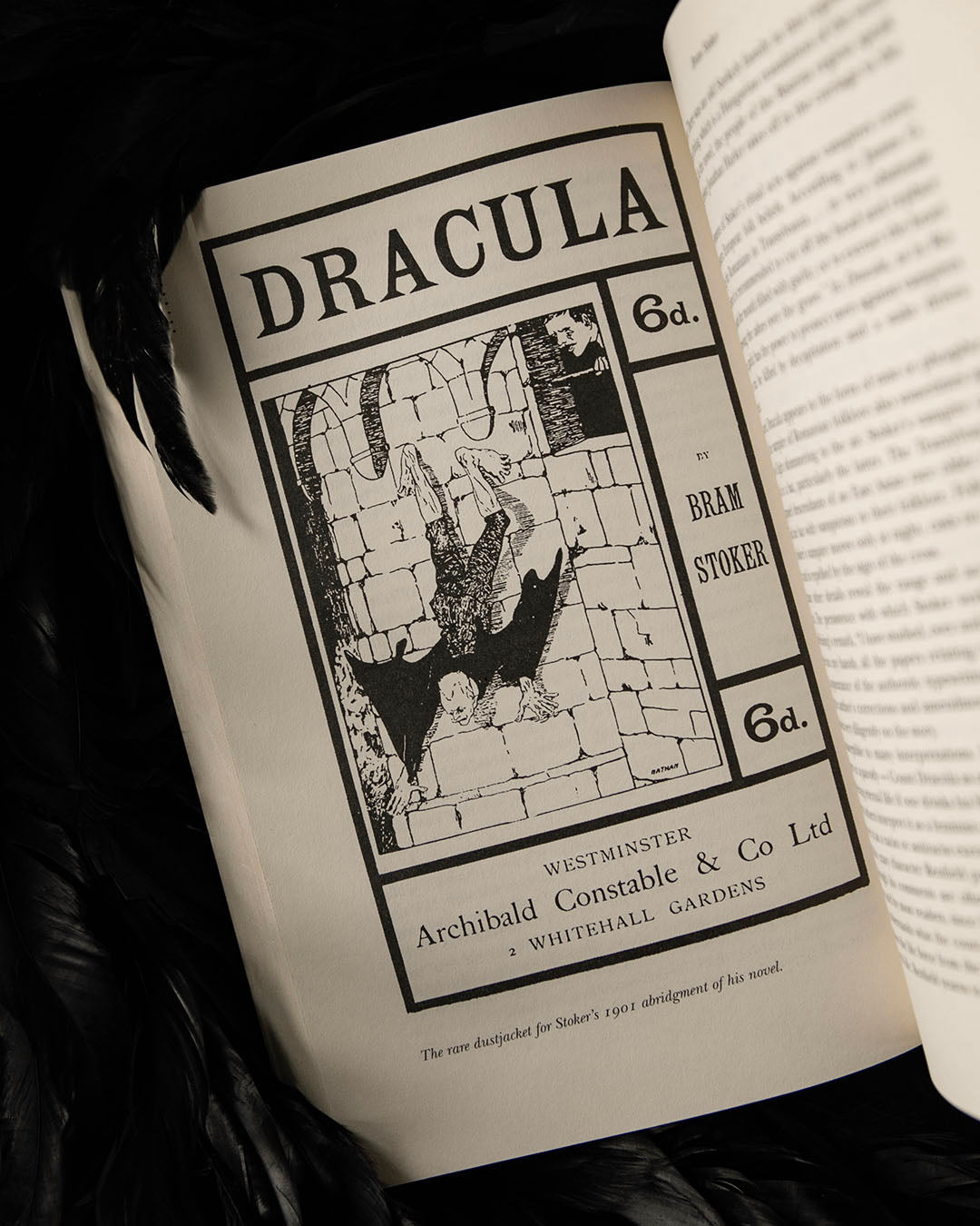 In Search of Dracula Book