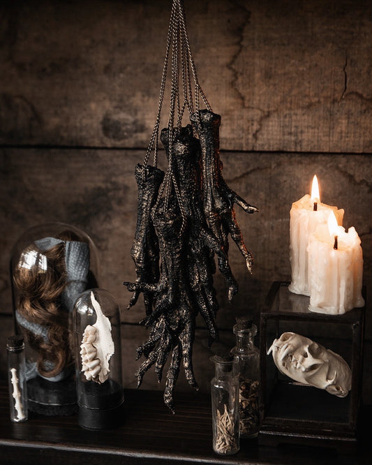 Mummified Chicken Feet
